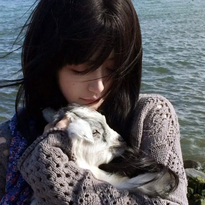 伏妖开封府之御猫展昭