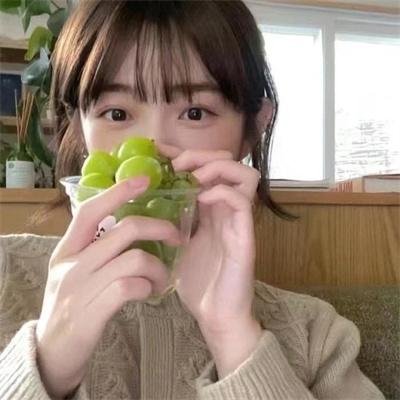 红狐